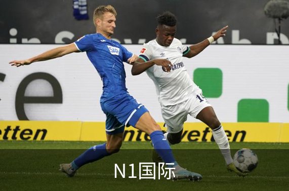 N1国际简介