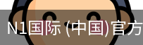 N1国际
